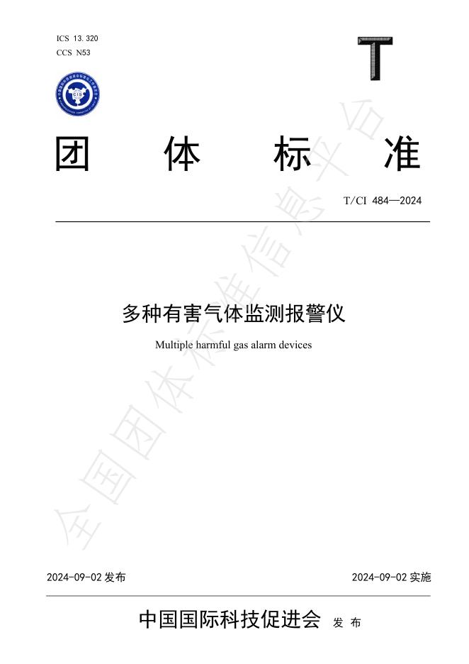 T/CI 484-2024 标准预览