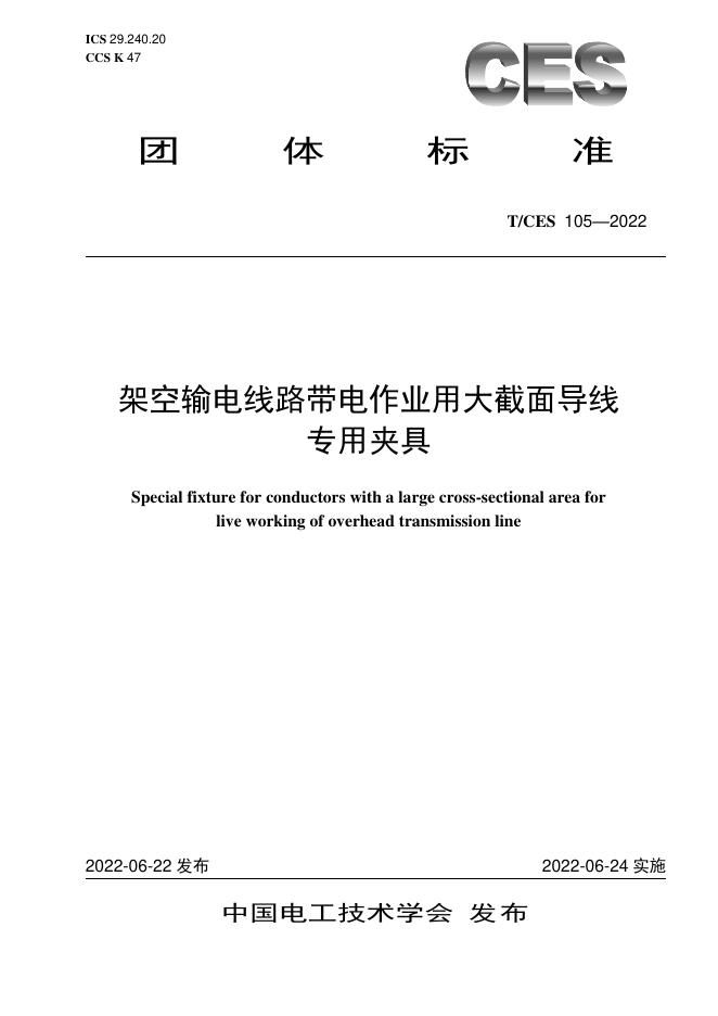 T/CES 105-2022 标准预览