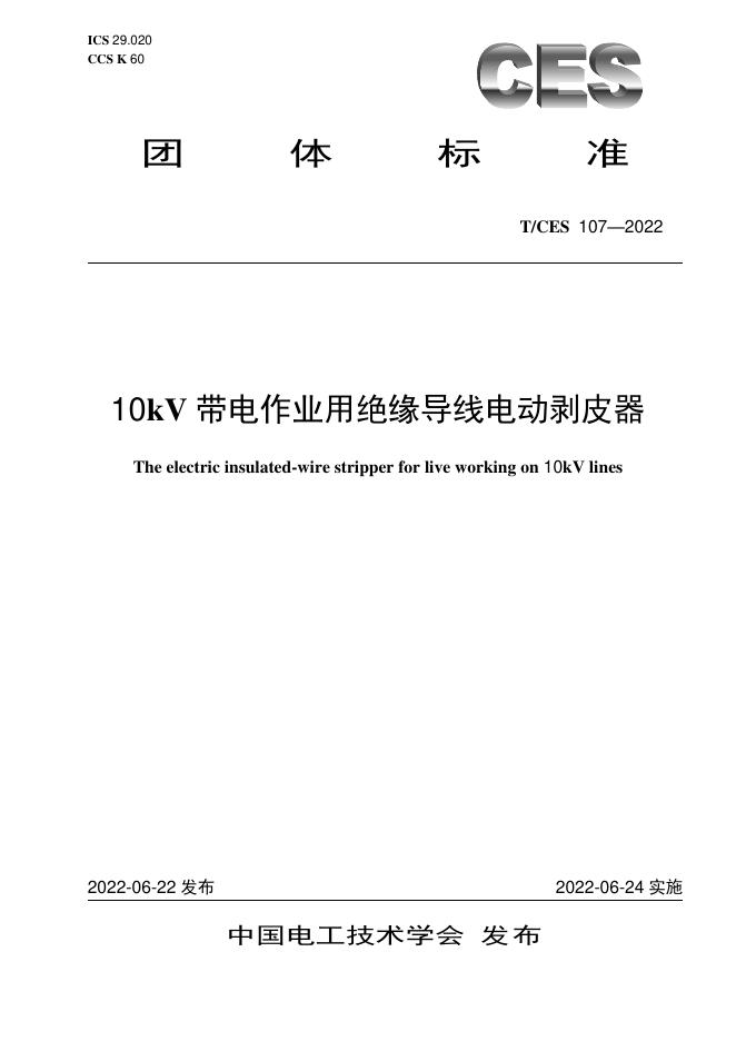 T/CES 107-2022 标准预览