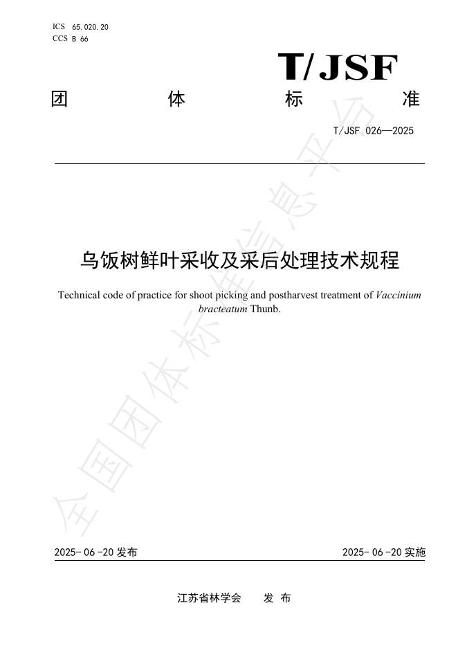 T/JSF 026-2025 标准预览