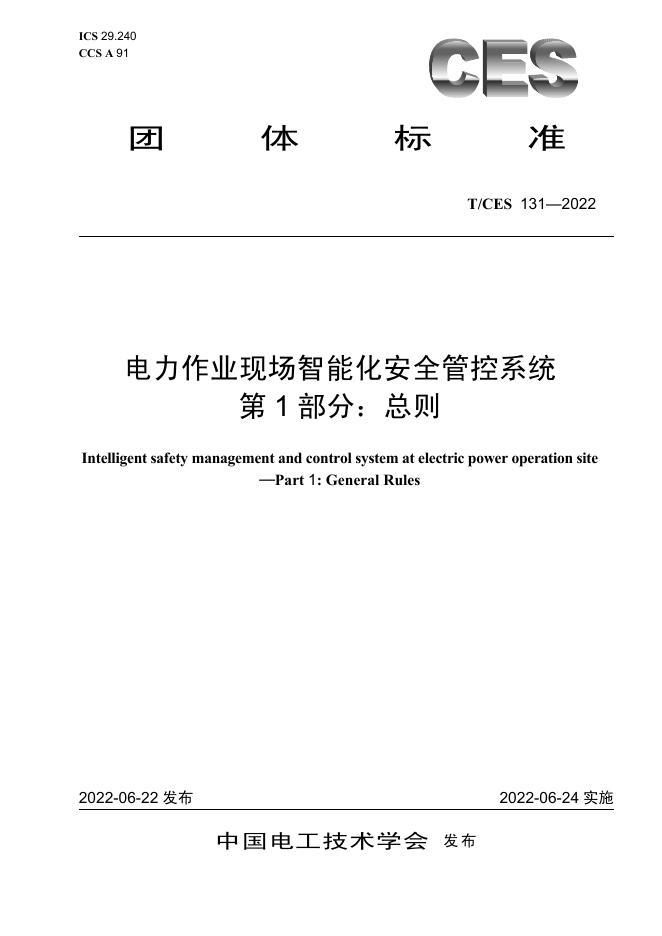 T/CES 131-2022 标准预览