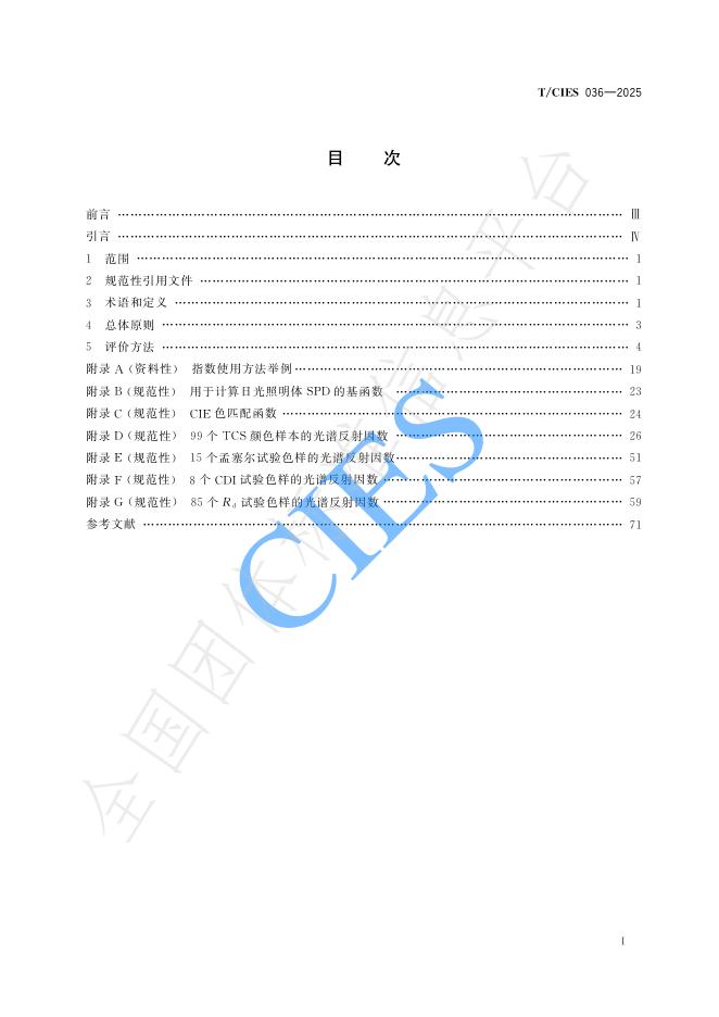 T/CIES 036-2025 标准预览