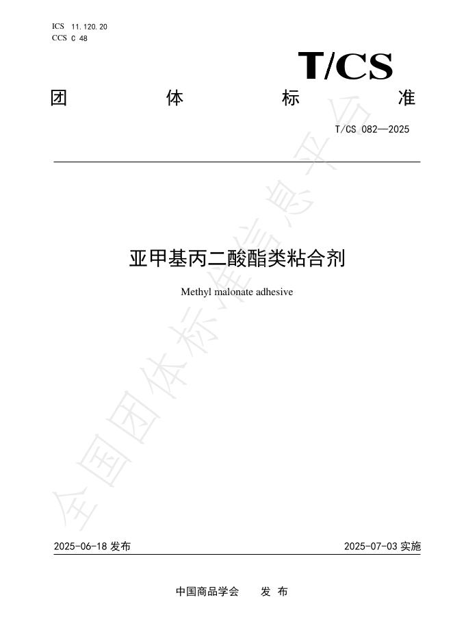 T/CS 082-2025 标准预览