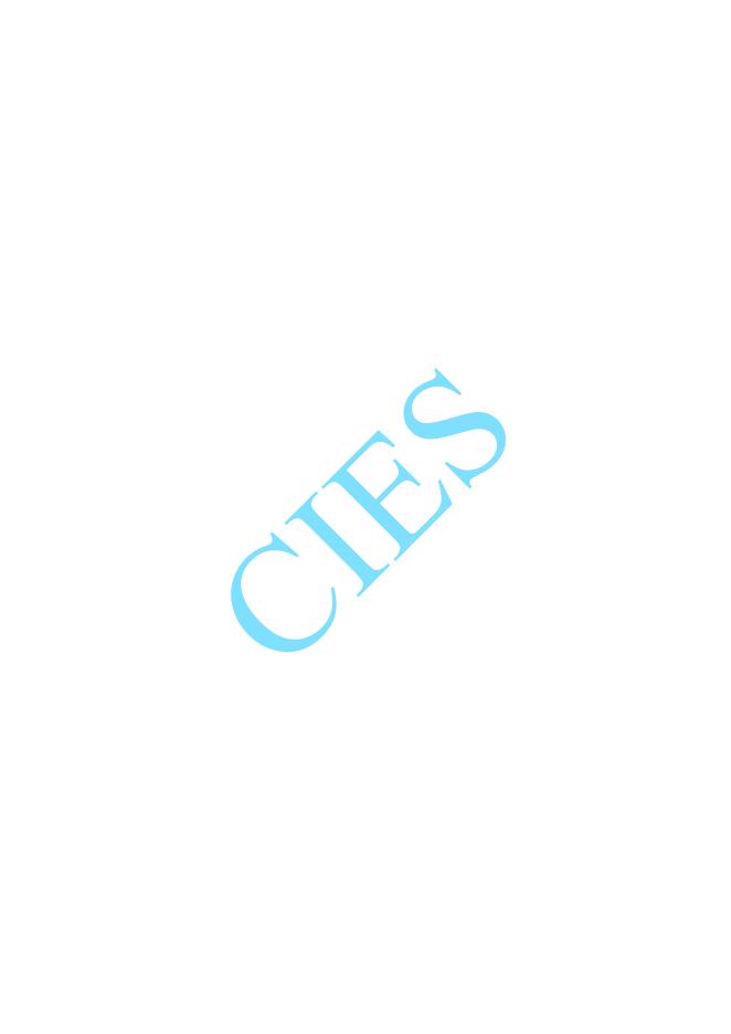 T/CIES 037-2025 标准预览