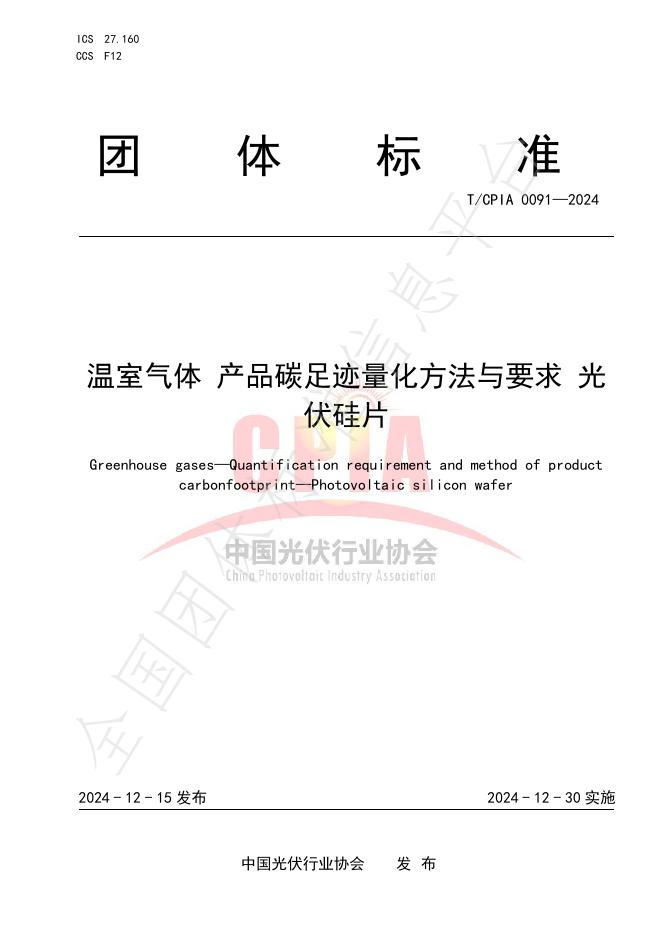 T/CPIA 0091-2024 标准预览