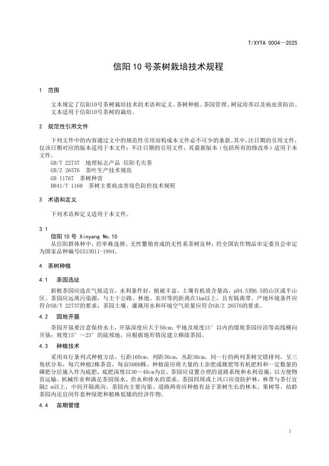 T/XYTA 0004-2025 标准预览