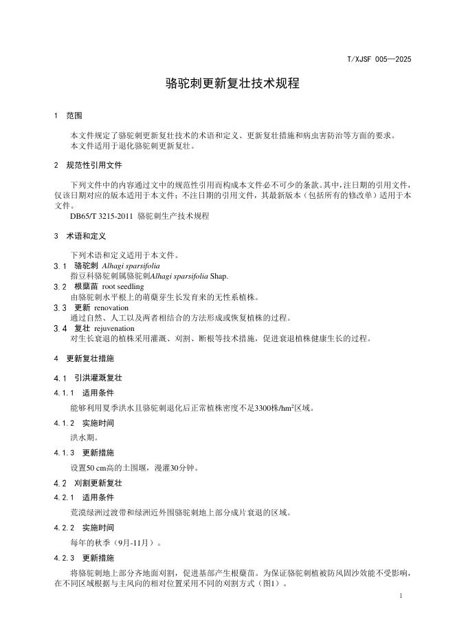 T/XJSF 005-2025 标准预览