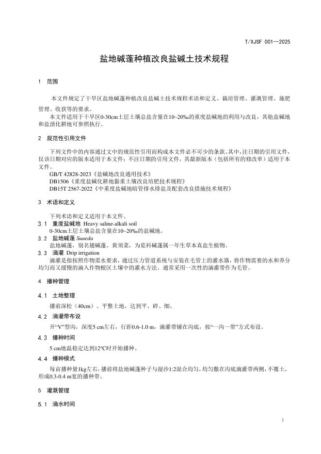 T/XJSF 001-2025 标准预览