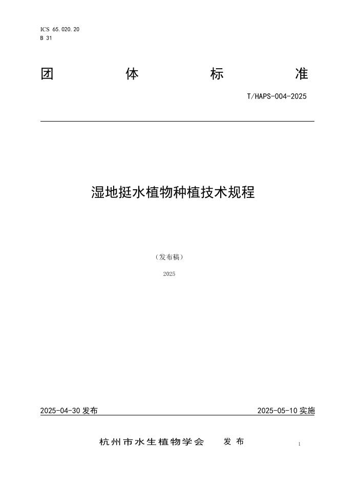 T/HAPS 004-2025 标准预览