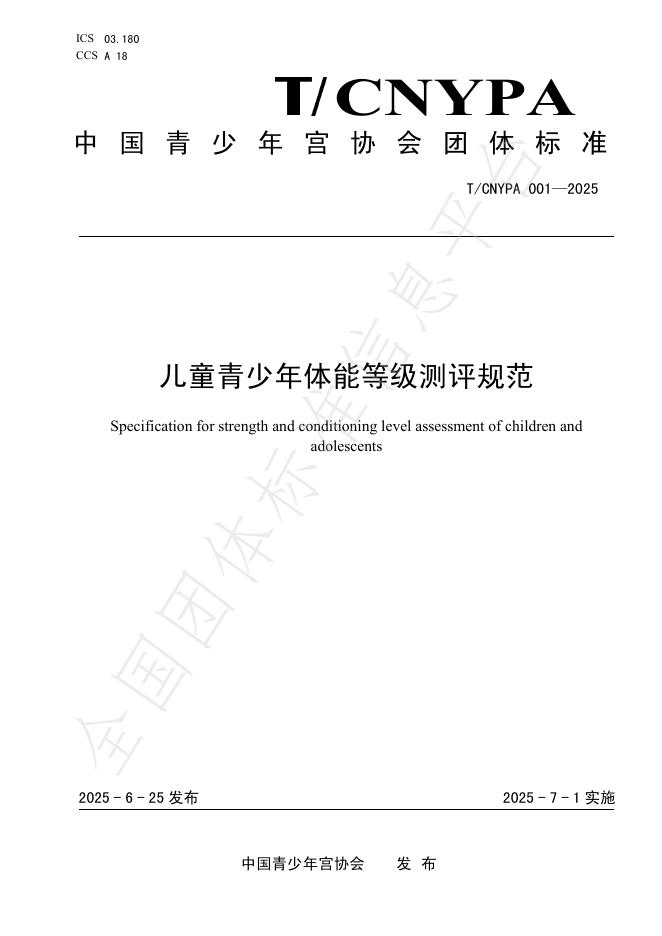 T/CNYPA 001-2025 标准预览