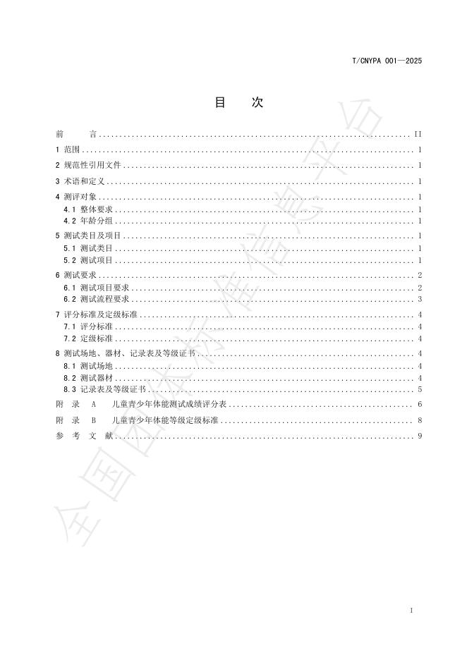 T/CNYPA 001-2025 标准预览