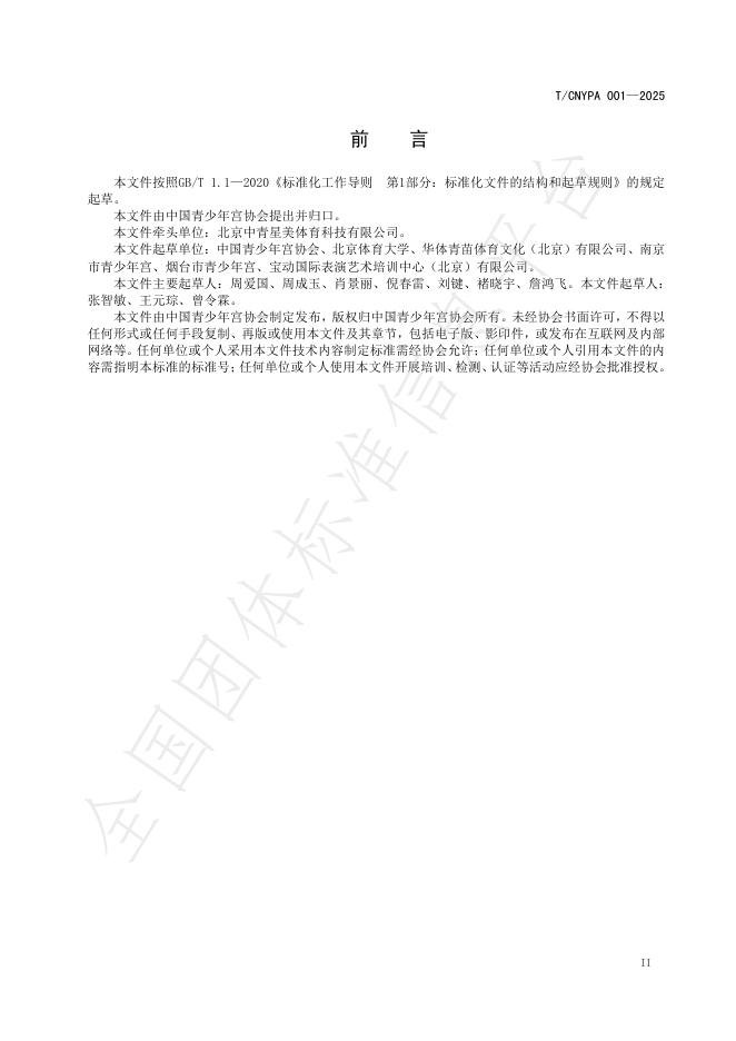 T/CNYPA 001-2025 标准预览