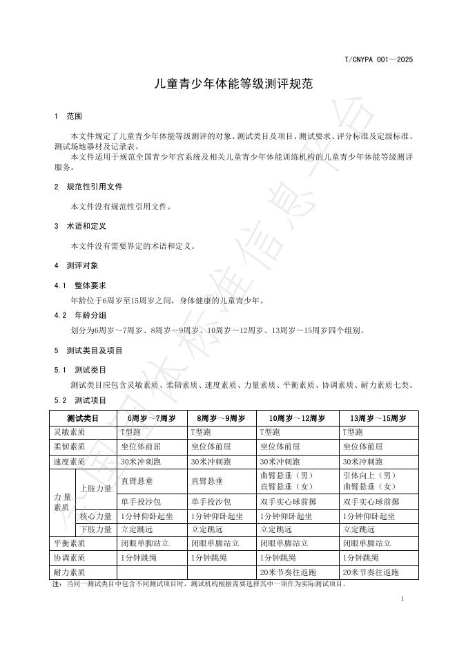 T/CNYPA 001-2025 标准预览