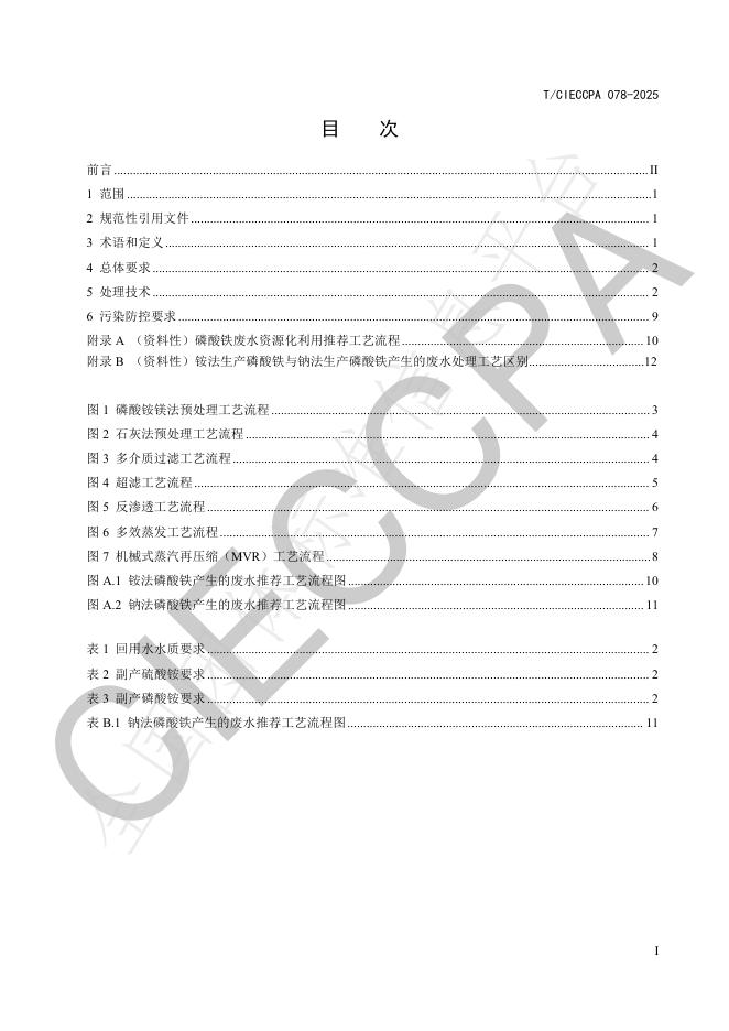 T/CIECCPA 78-2025 标准预览