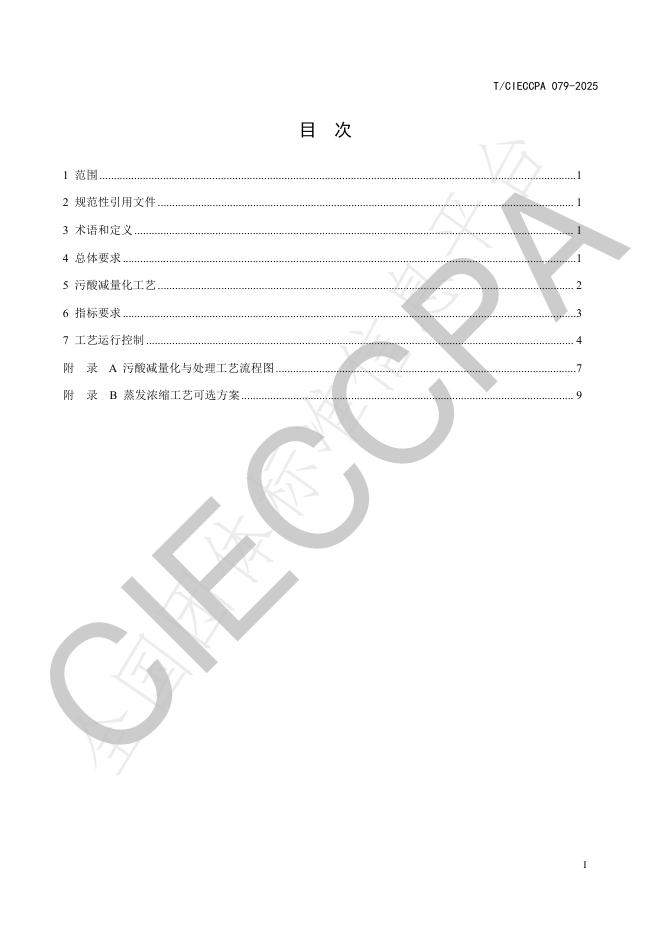 T/CIECCPA 079-2025 标准预览