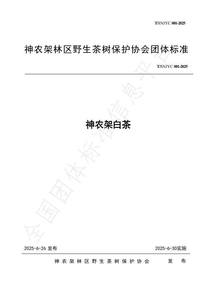 T/SNJYC 001-2025 标准预览