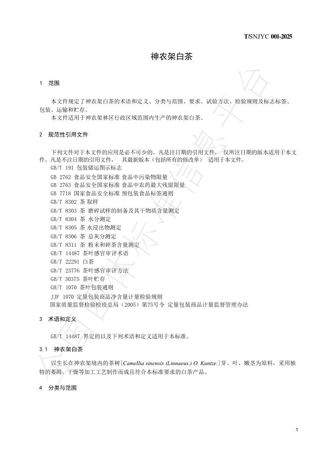 T/SNJYC 001-2025 标准预览