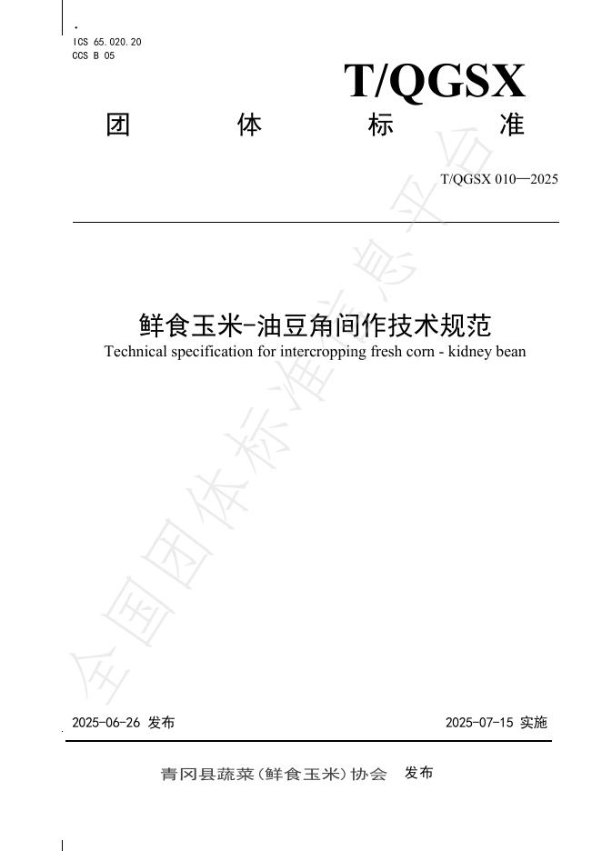 T/QGSX 010-2025 标准预览