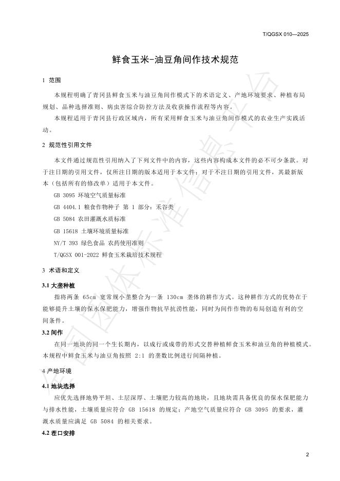 T/QGSX 010-2025 标准预览