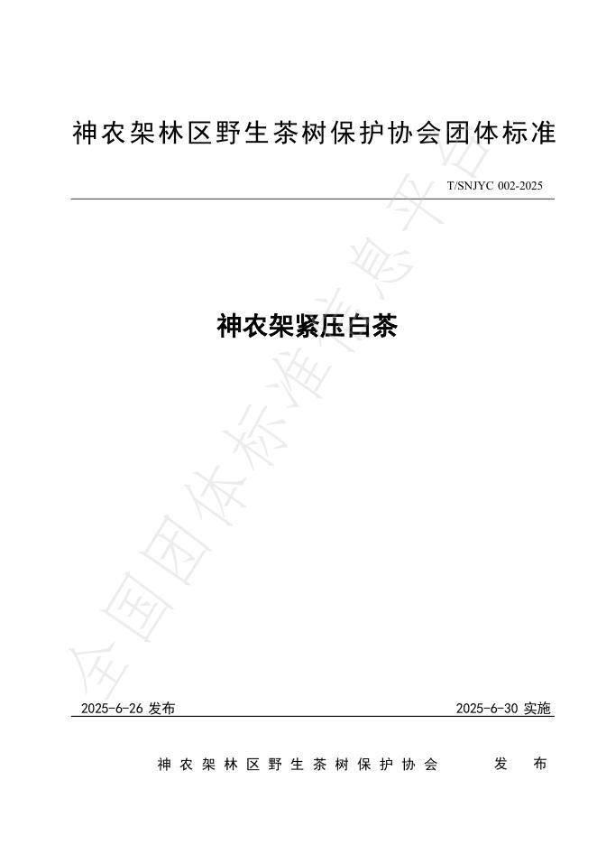 T/SNJYC 002-2025 标准预览