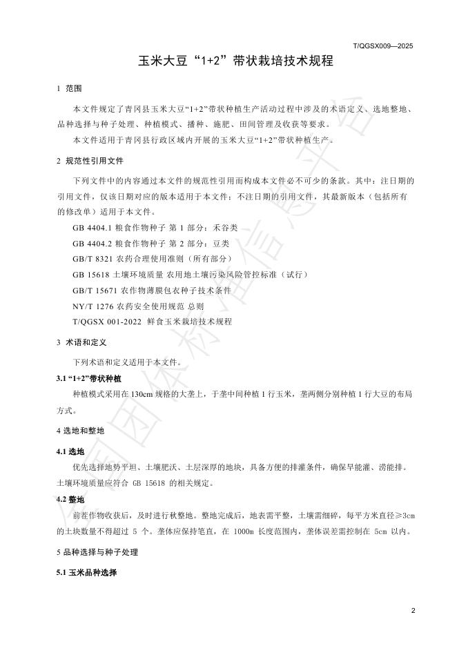 T/QGSX 009-2025 标准预览