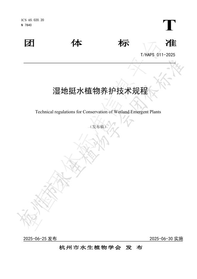T/HAPS 011-2025 标准预览