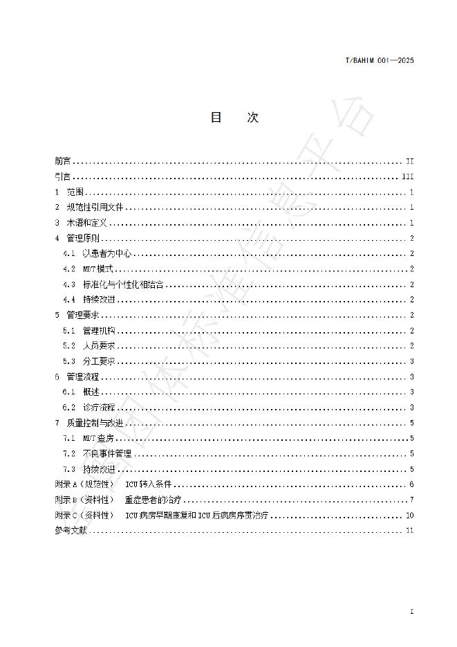 T/BAHIM 001-2025 标准预览