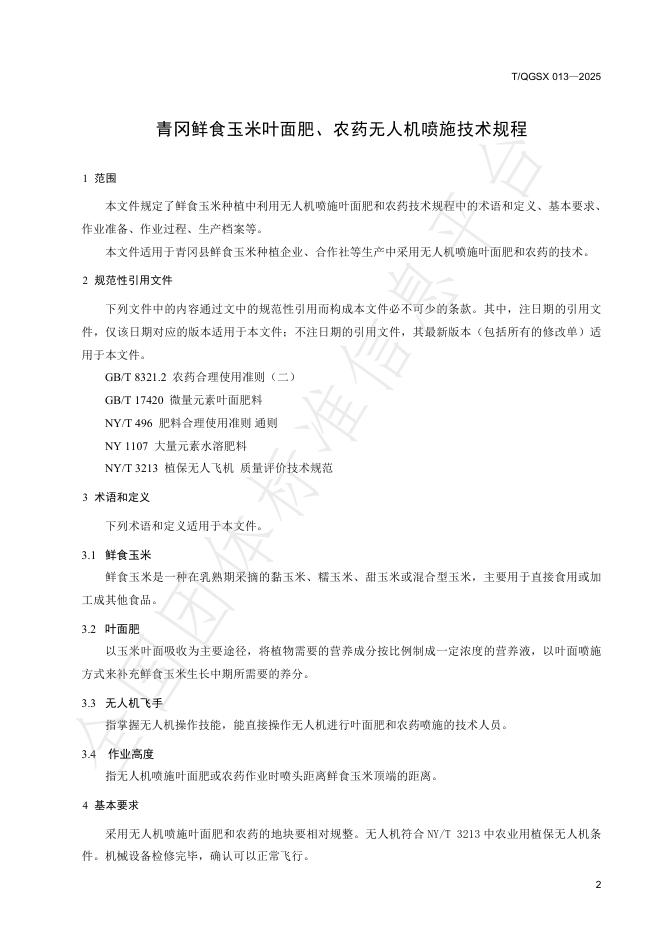 T/QGSX 013-2025 标准预览