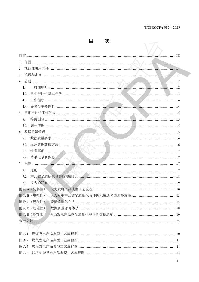 T/CIECCPA 080-2025 标准预览
