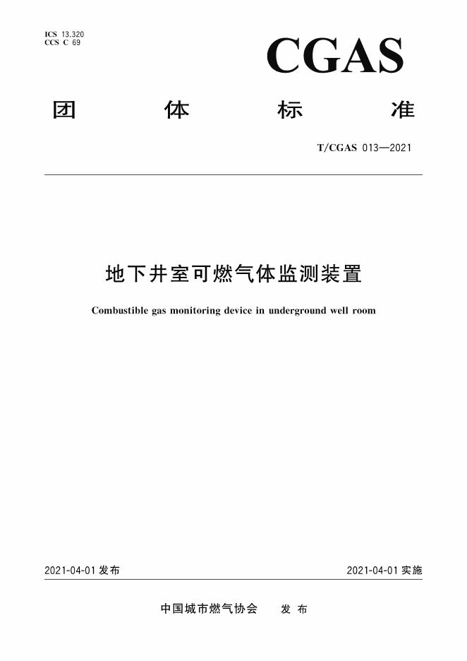 T/CGAS 013-2021 标准预览
