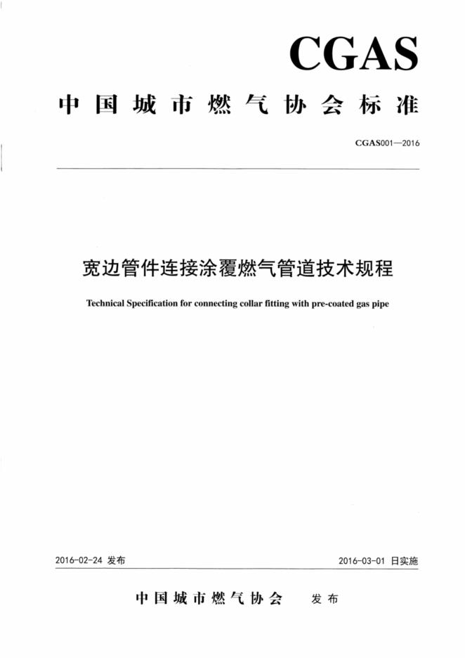 T/CGAS 001-2016 标准预览