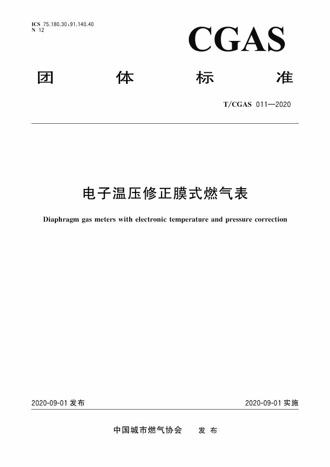 T/CGAS 011-2020 标准预览