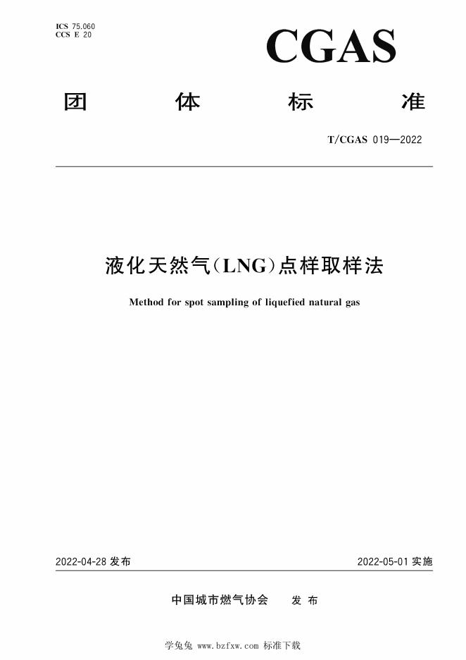 T/CGAS 019-2022 标准预览