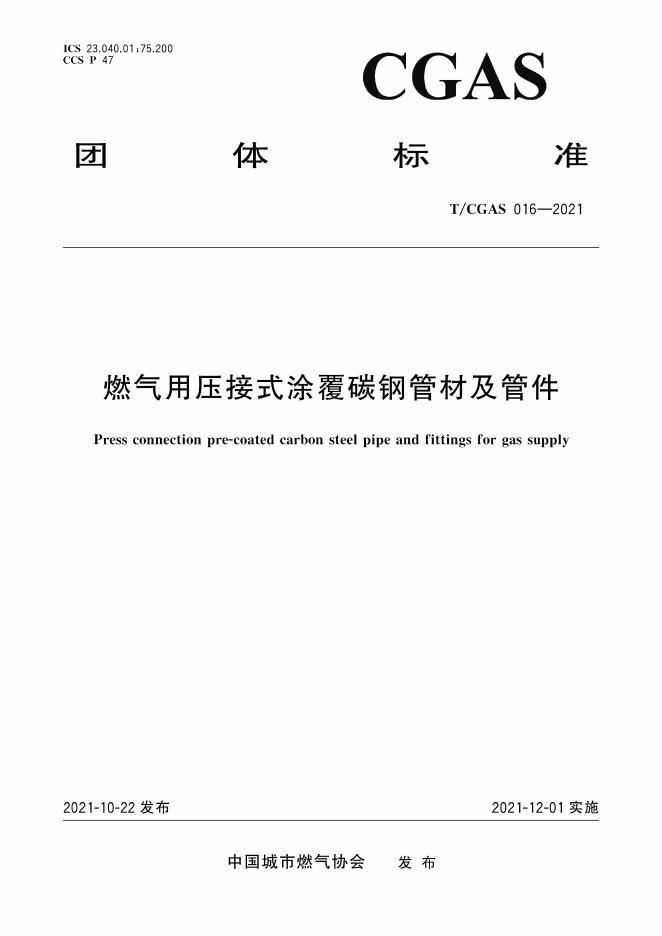T/CGAS 016-2021 标准预览