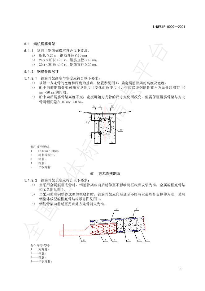 T/NESIF 0009-2021 标准预览