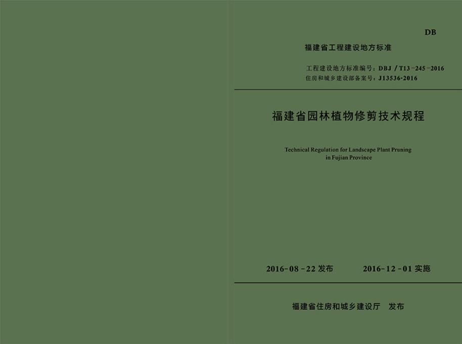 DBJ/T 13-245-2016 标准预览