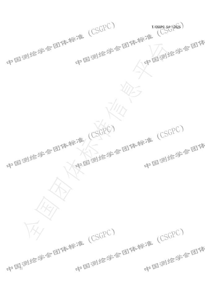 T/CSGPC 54-2025 标准预览