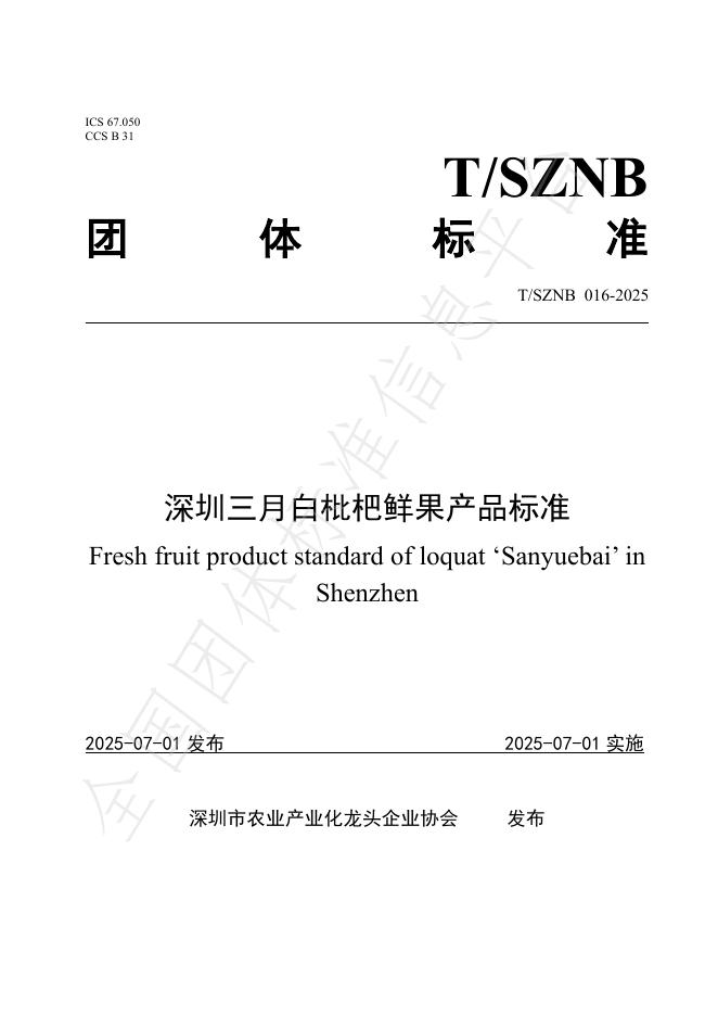 T/SZNB 016-2025 标准预览