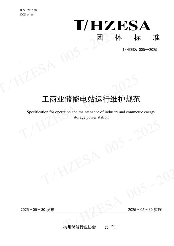 T/HZESA 005-2025 标准预览