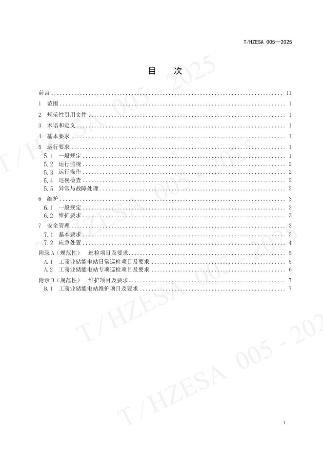 T/HZESA 005-2025 标准预览