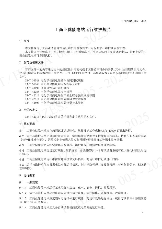 T/HZESA 005-2025 标准预览