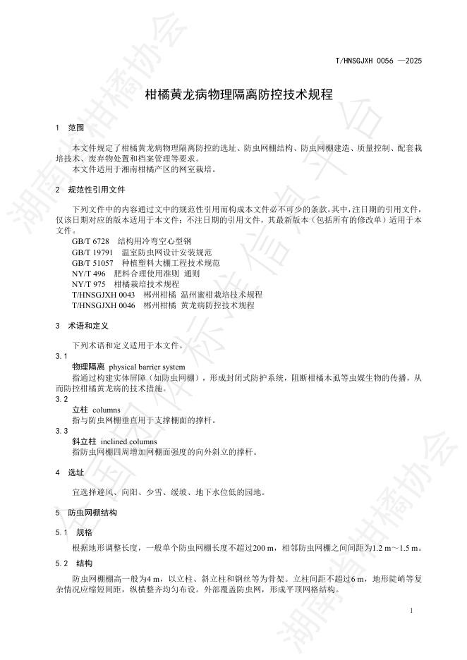 T/HNSGJXH 0056-2025 标准预览
