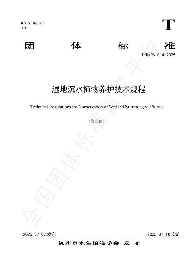 T/HAPS 014-2025 标准预览