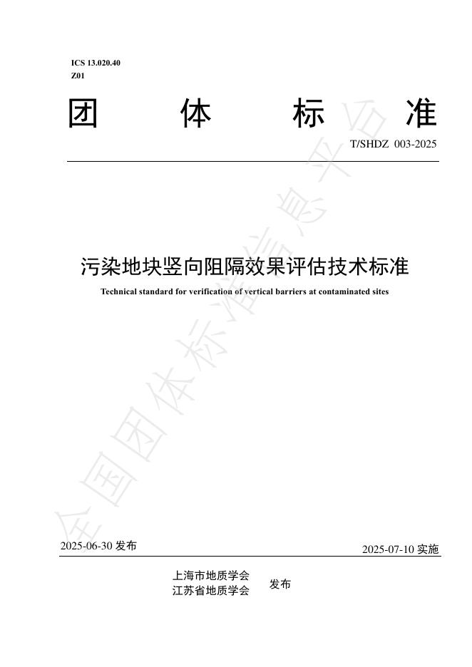 T/SHDZ 003-2025 标准预览