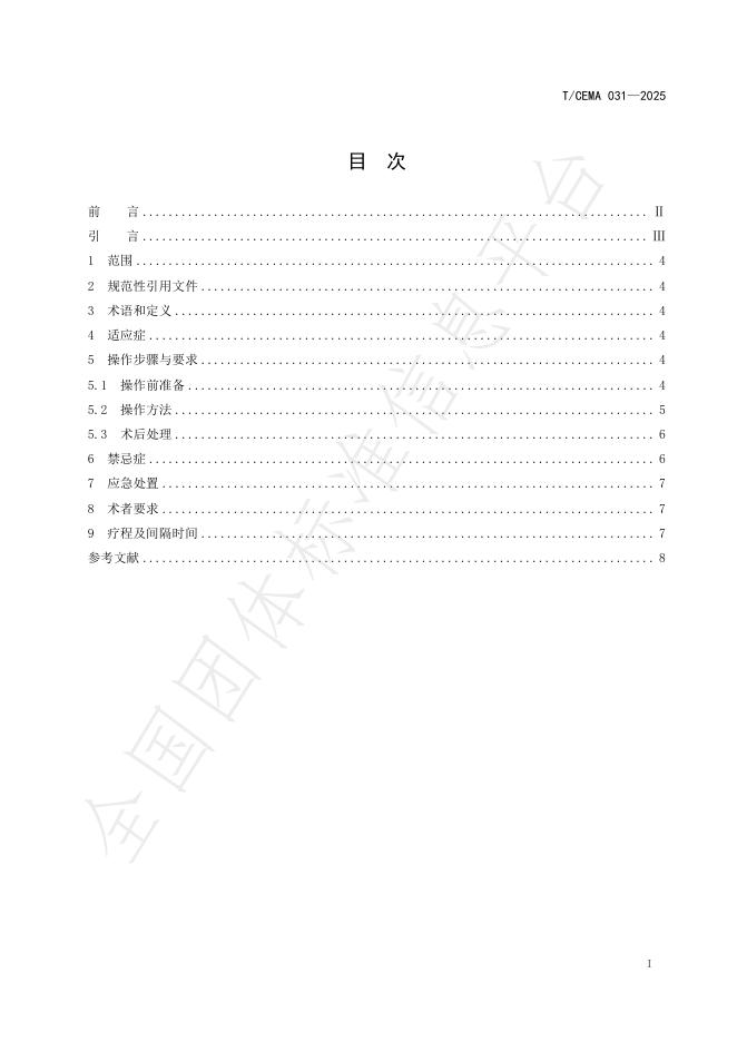 T/CEMA 031-2025 标准预览