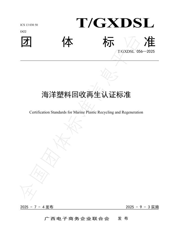 T/GXDSL 056-2025 document cover