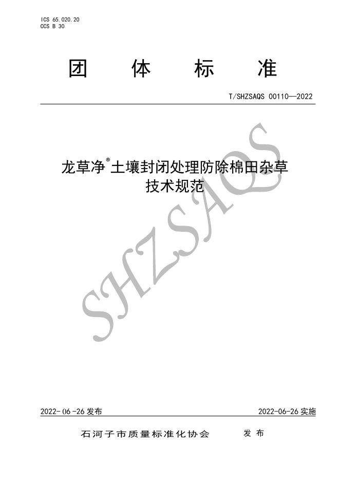 T/SHZSAQS 00110-2022 标准预览