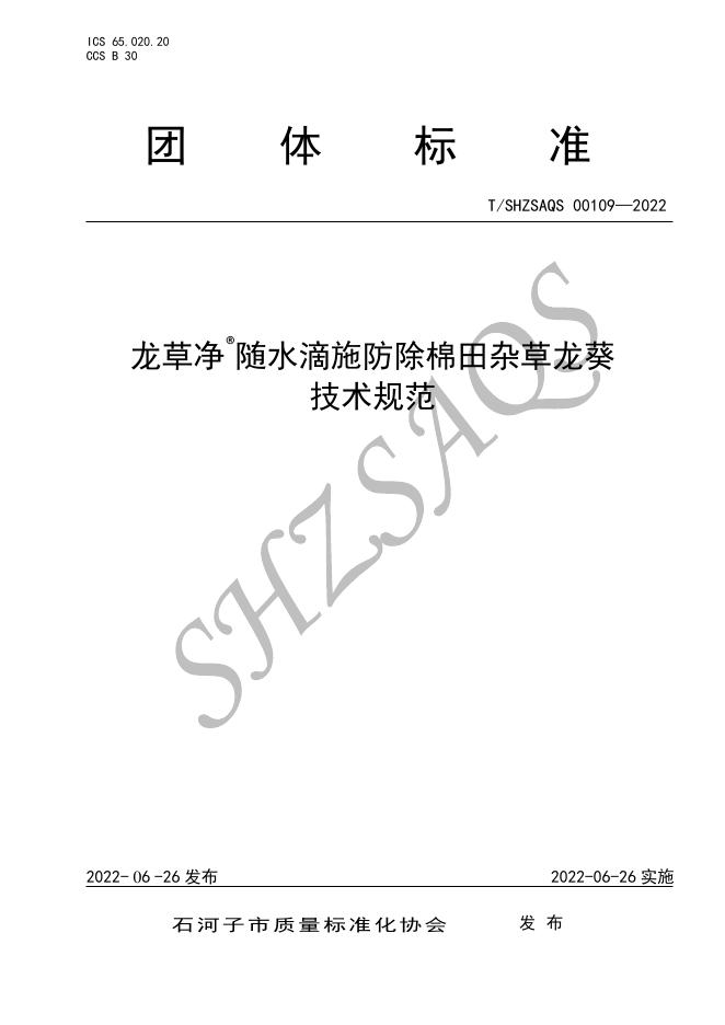 T/SHZSAQS 00109-2022 标准预览