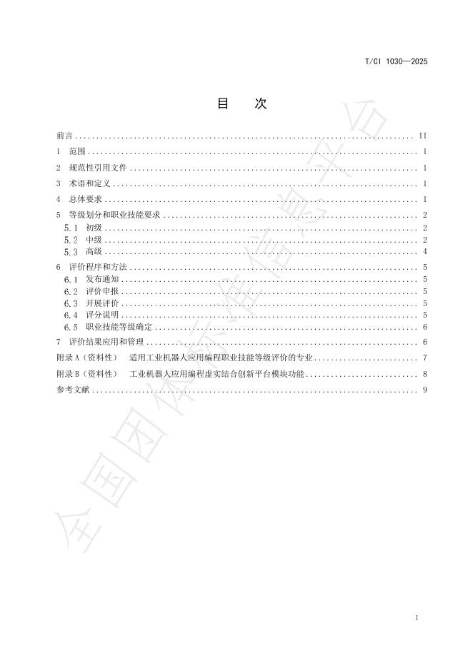 T/CI 1030-2025 标准预览