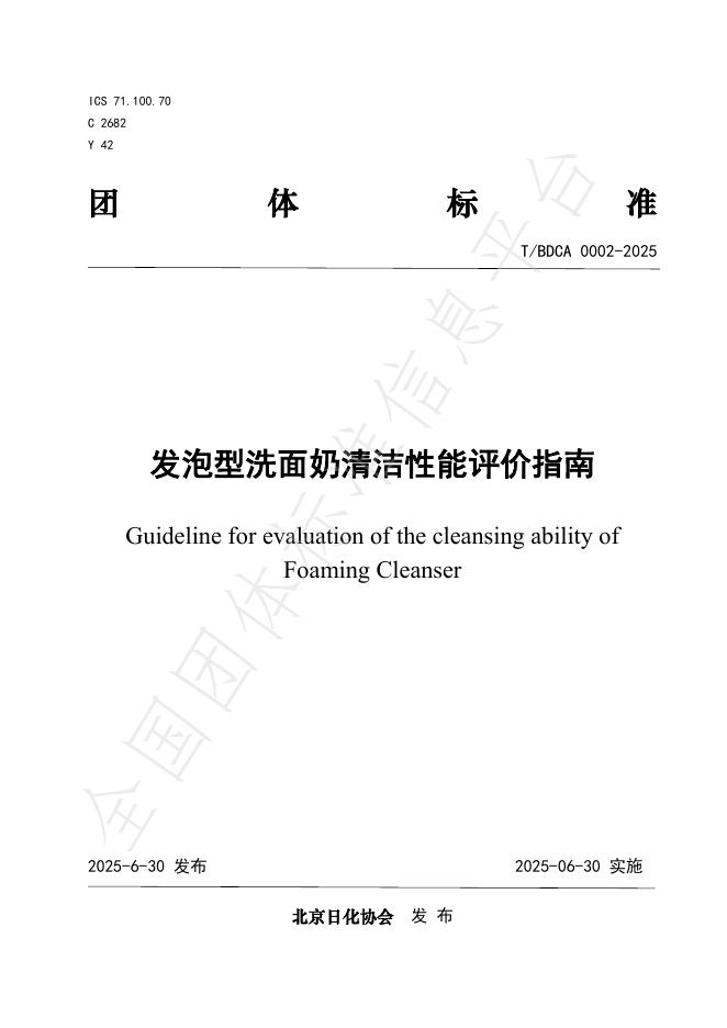 T/BDCA 0002-2025 标准预览